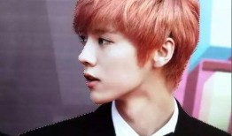 爆料鹿晗韩语视频下载安装,轻松掌握韩流魅力